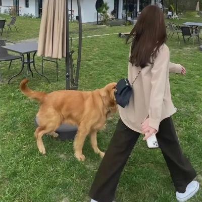 辣手保姆 2